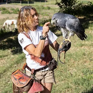 Appartamento L'aquila E L'ulivo